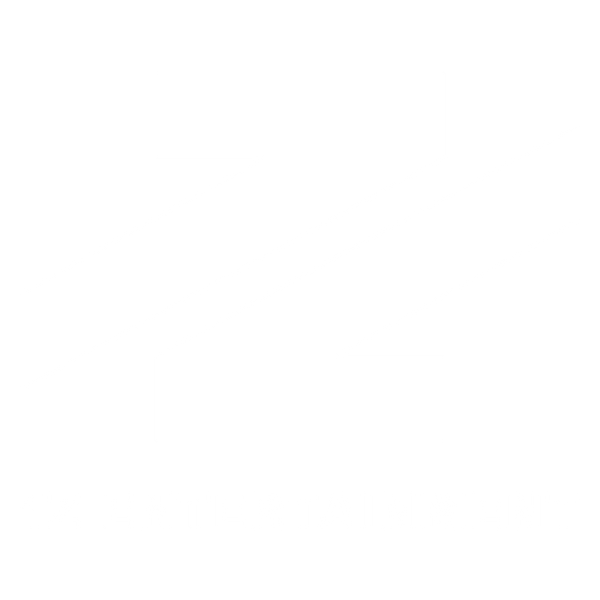 1Z Merch